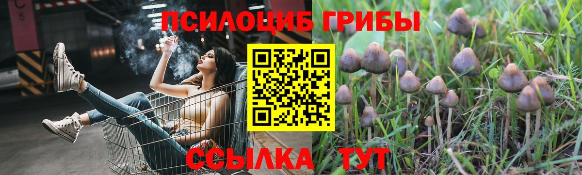 Галлюциногенные грибы прущие грибы  Вход с VPN  Арзамас 
